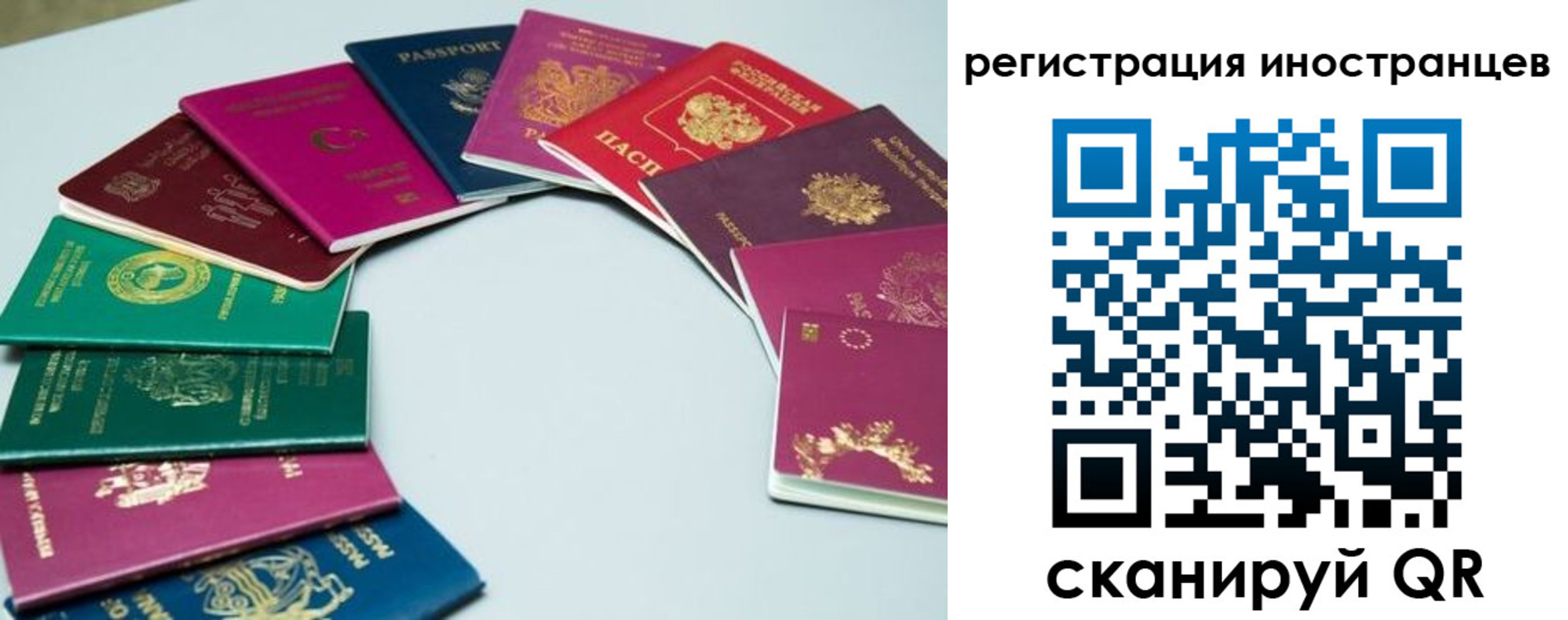 регистрация в Ряжске